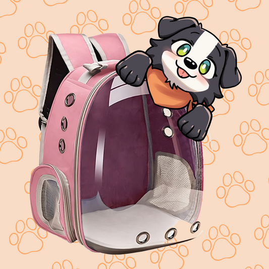 Mochila Bolso Transparente Mascota